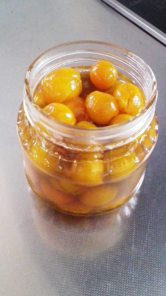 f:id:aminagako:20161226141249j:plain