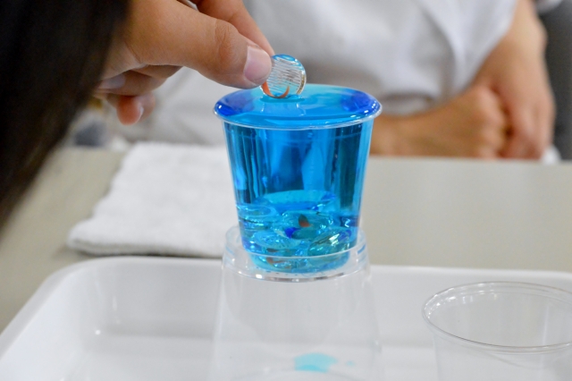 家で簡単にできる 自由研究 実験版 Aminntanのブログ