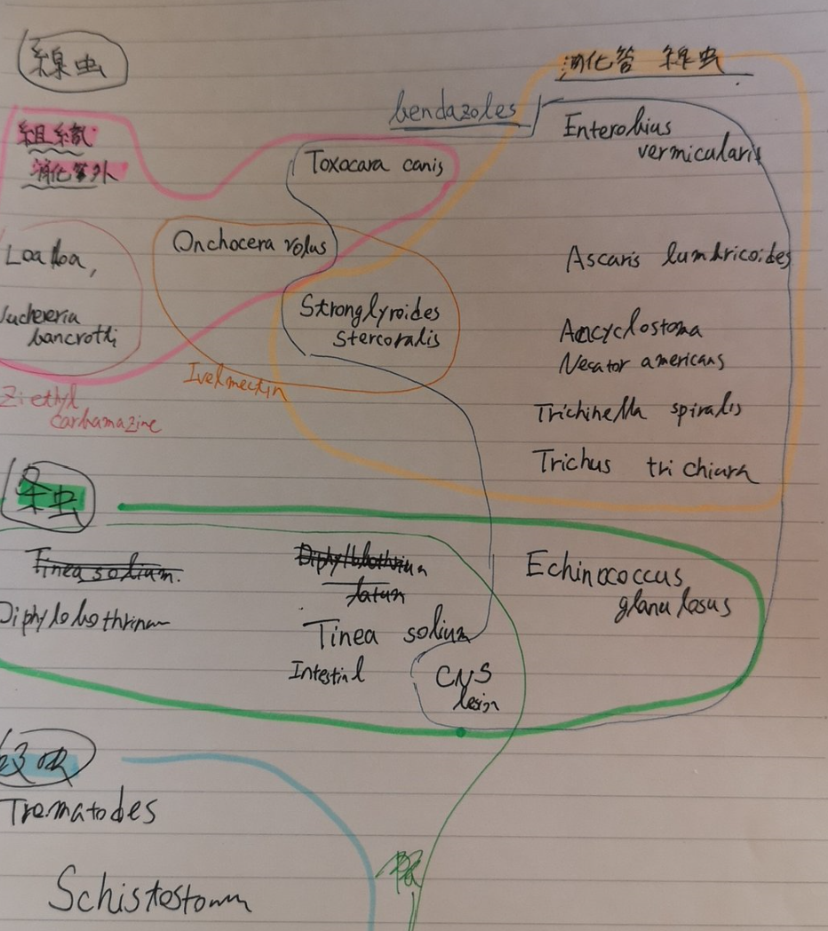 f:id:aminolevulinicacid:20200105184343p:plain