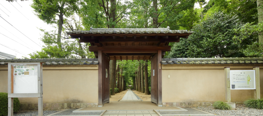 大田黒公園の紅葉ライトアップ 意識低い系会社員