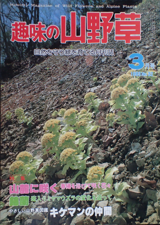 ジュエルオーキッドの参考書（その3） - Amitostigma's blog