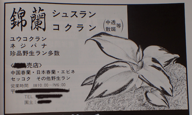 ジュエルオーキッドの参考書（その3） - Amitostigma's blog