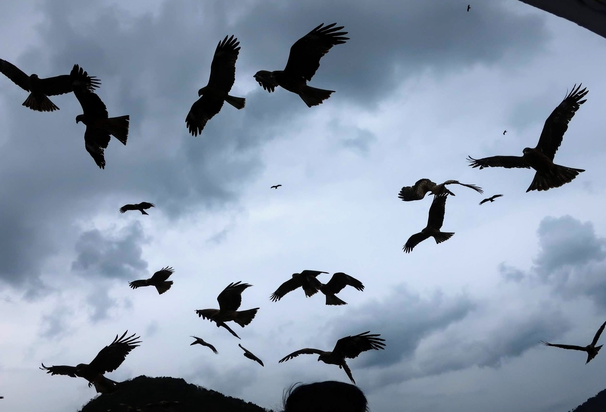 f:id:amity55:20200118172140j:plain f:id:amity55:20200118172140j:plain