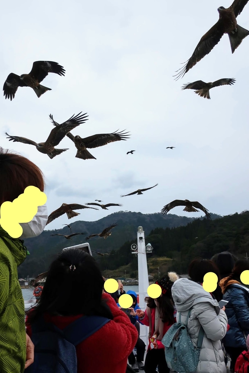 f:id:amity55:20200118172416j:plain f:id:amity55:20200118172416j:plain