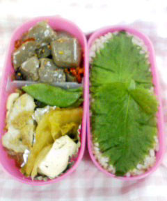 f:id:amiyoshida:20080229123953j:image:w100,left f:id:amiyoshida:20080229123953j:image:w100,left