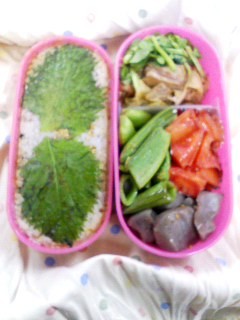 f:id:amiyoshida:20080304111224j:image:w100,left f:id:amiyoshida:20080304111224j:image:w100,left