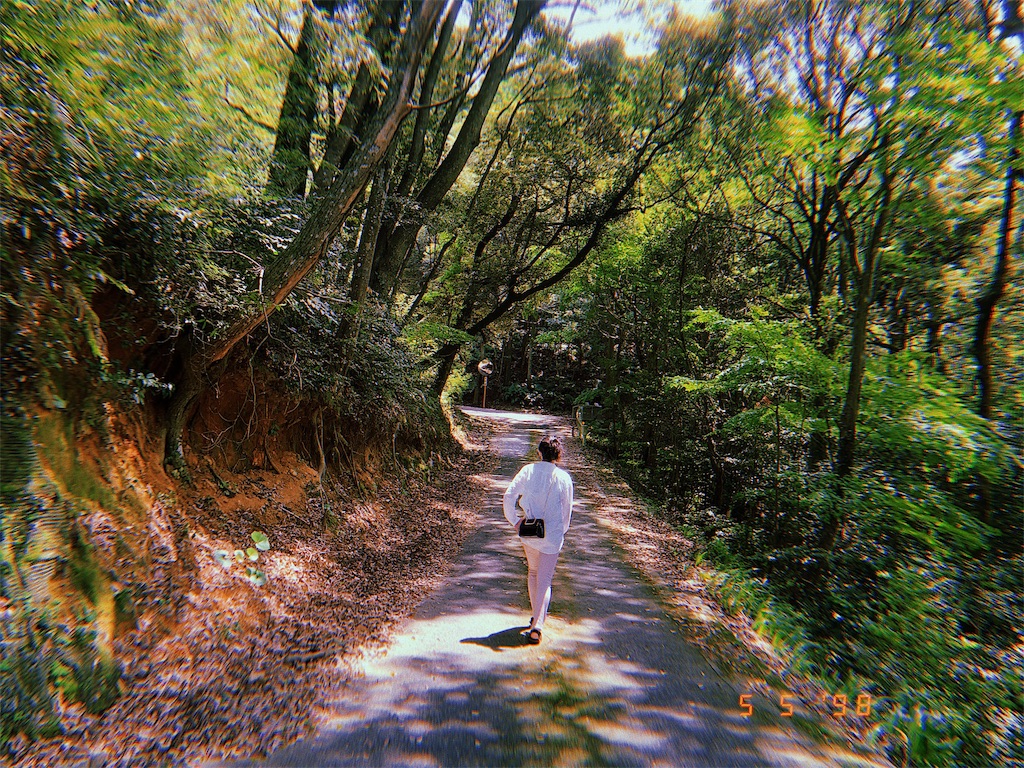 f:id:amjiism:20190701222908j:image f:id:amjiism:20190701222908j:image