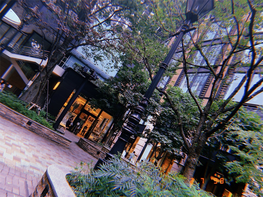 f:id:amjiism:20190702194343j:image f:id:amjiism:20190702194343j:image