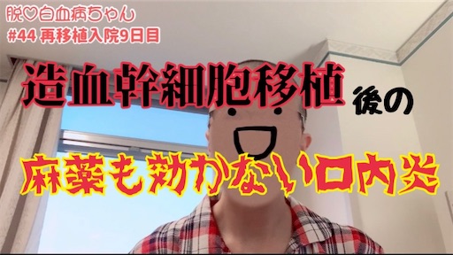 f:id:amlm5:20230126113558j:image f:id:amlm5:20230126113558j:image
