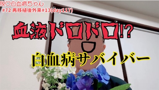 f:id:amlm5:20230606211805j:image