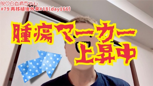 f:id:amlm5:20230724202341j:image