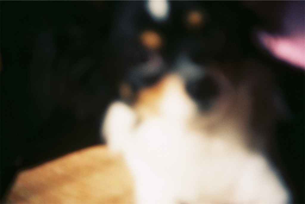 f:id:amm_log:20220831191141j:image