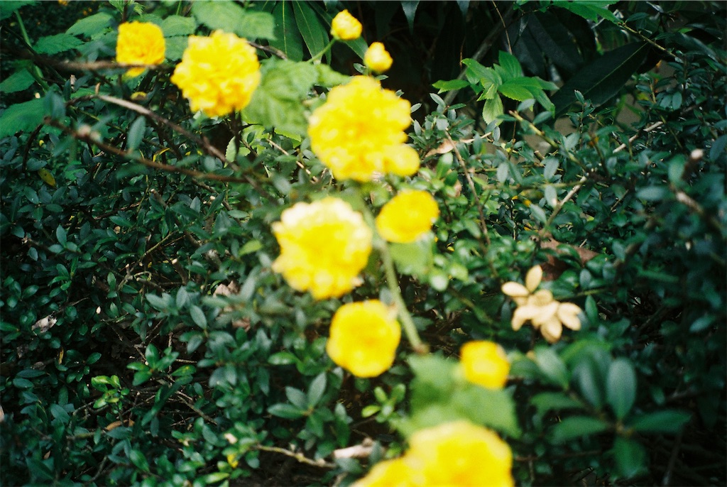 f:id:amm_log:20220831191853j:image