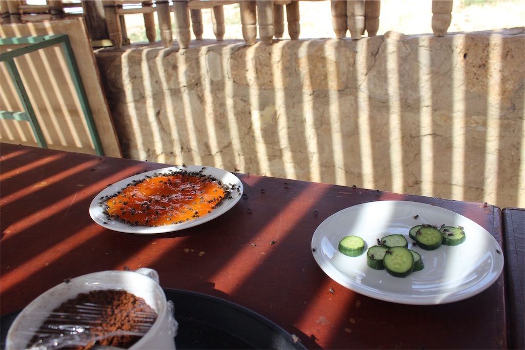 f:id:amman2018:20190609122026j:image