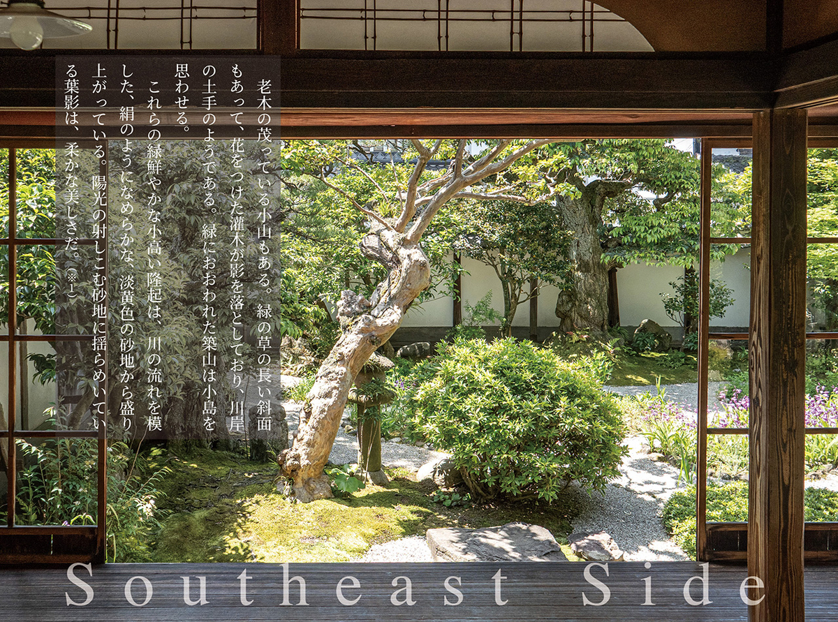 南東側の庭