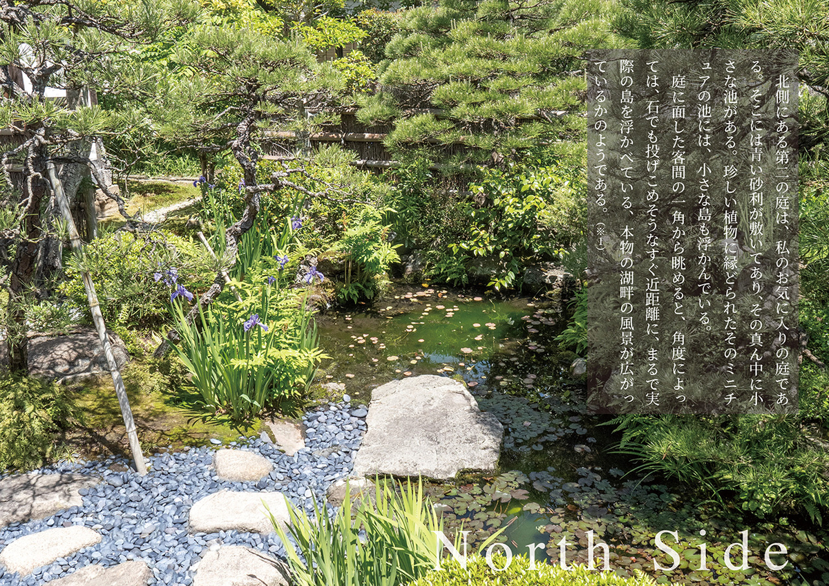 北側の庭