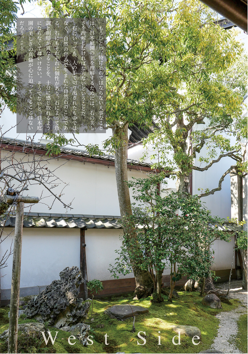 西側の庭2