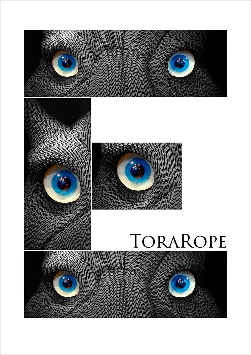 ToraRope