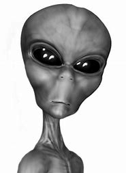 f:id:amn-ra:20200412014257j:plain f:id:amn-ra:20200412014257j:plain