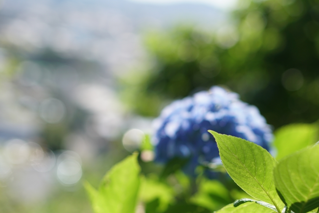 f:id:amnjrn:20180603082104j:plain f:id:amnjrn:20180603082104j:plain