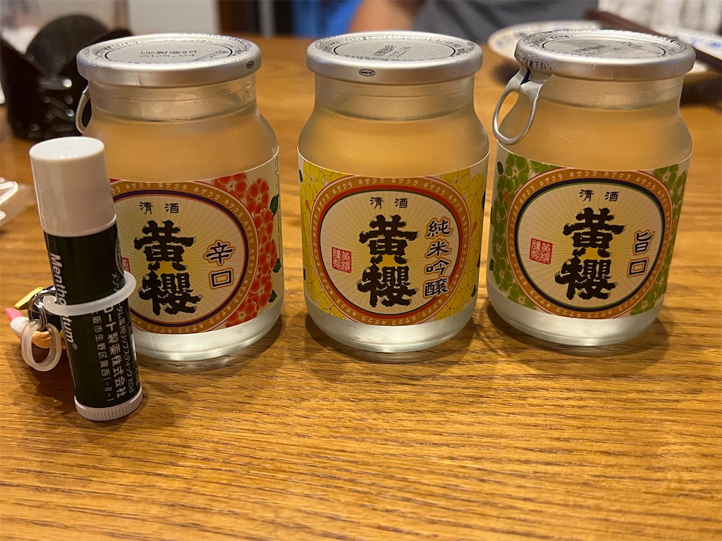 f:id:amo_taro:20250528003412j:image
