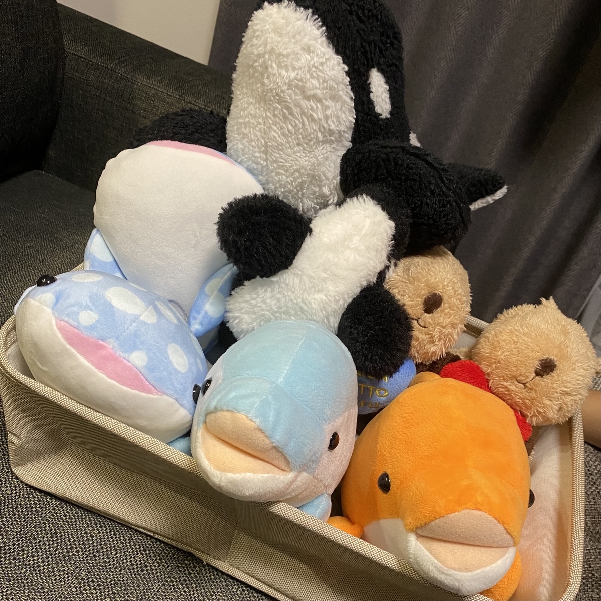 これってぬいぐるみ依存症 アラサーエンジニア共働き妻の日常
