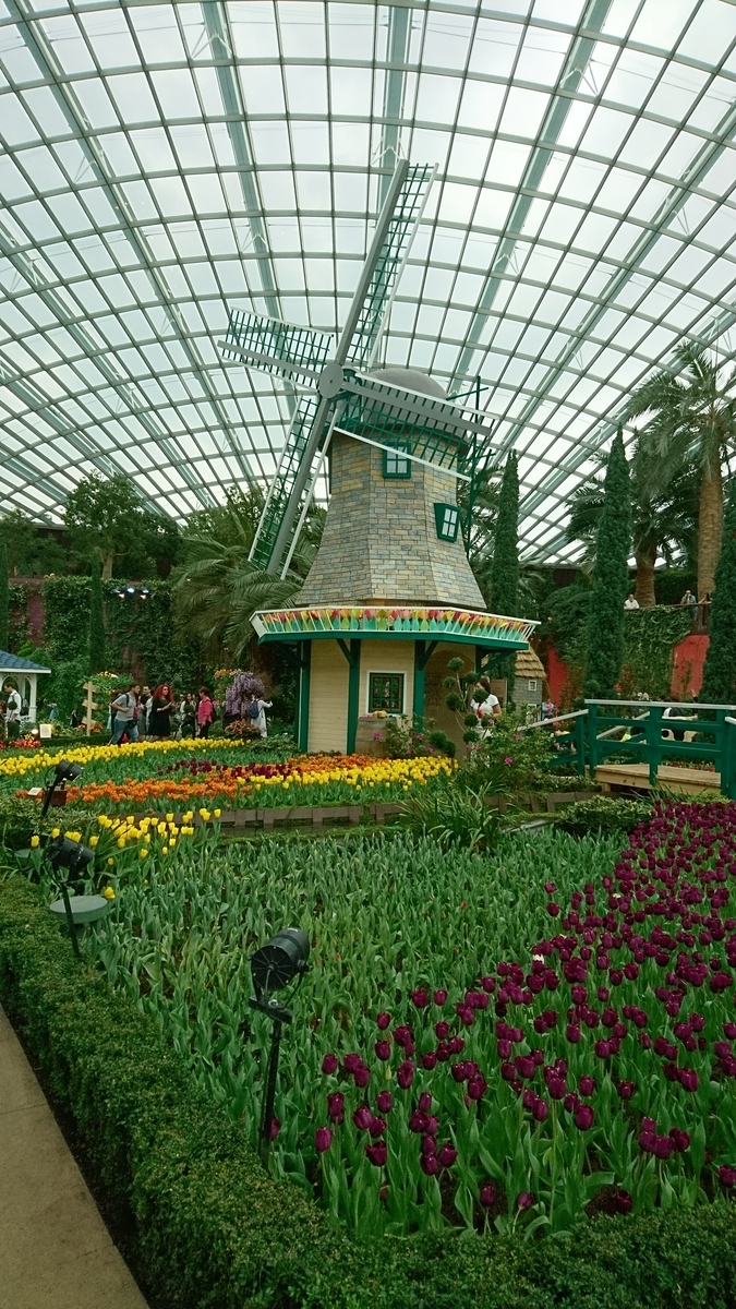 f:id:amomoc:20190831190942j:plain