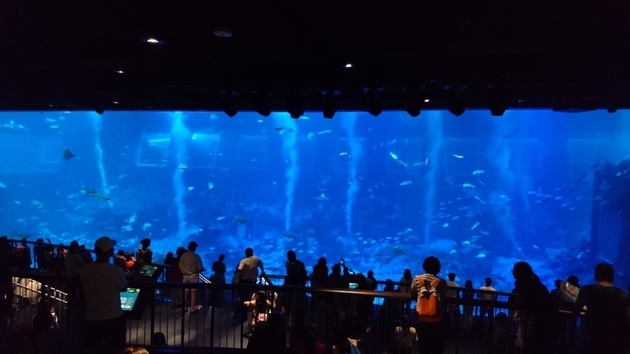 f:id:amomoc:20191019213951j:plain