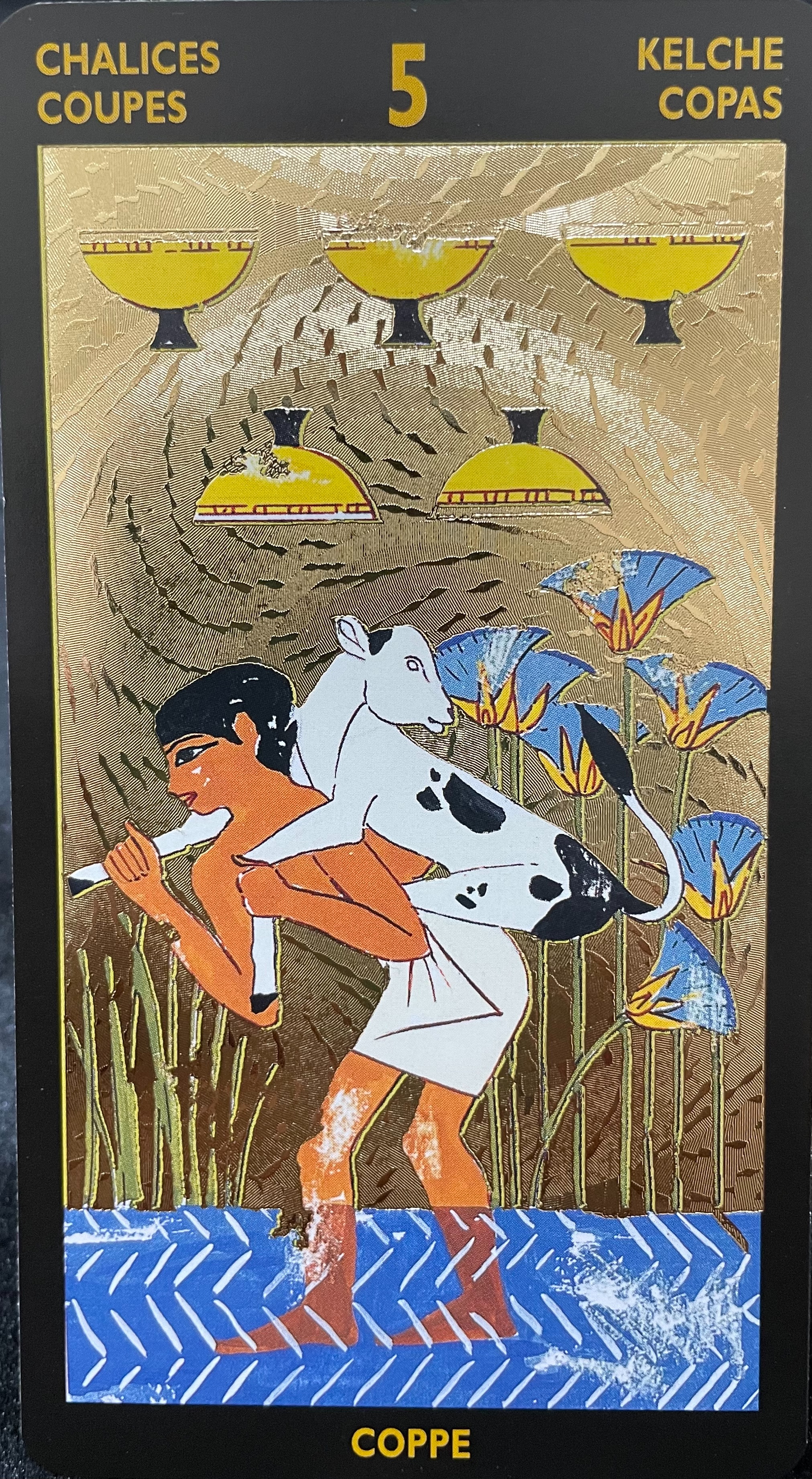 f:id:amon3223:20220619093742j:image f:id:amon3223:20220619093742j:image