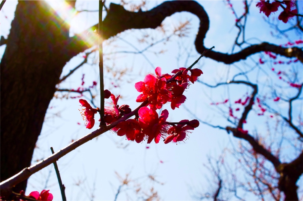 f:id:amori:20200330222322j:image