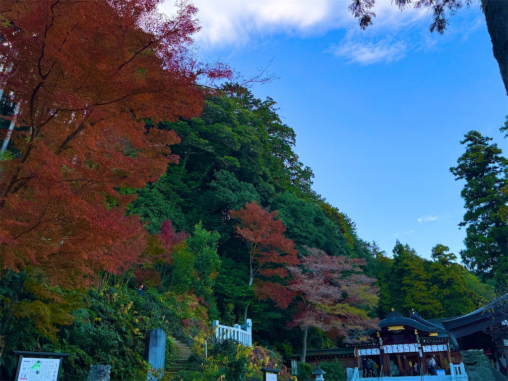 f:id:amotoi0908:20251126011658j:image