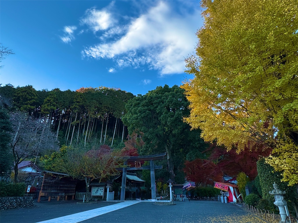 f:id:amotoi0908:20251126011701j:image