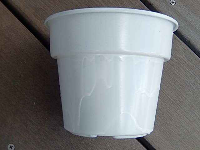 ちっちゃいDIY52 鉢リメイクが…あちゃーやってもたぁー、ならば