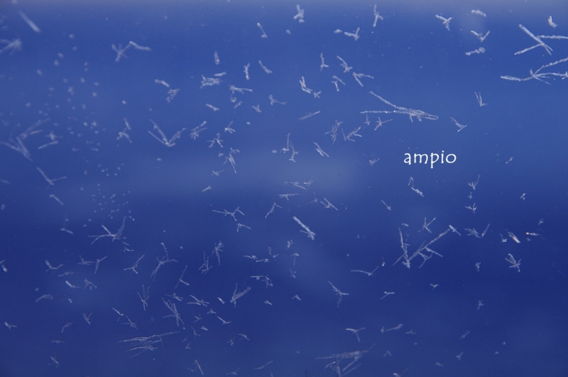 f:id:ampio:20140218114335j:plain