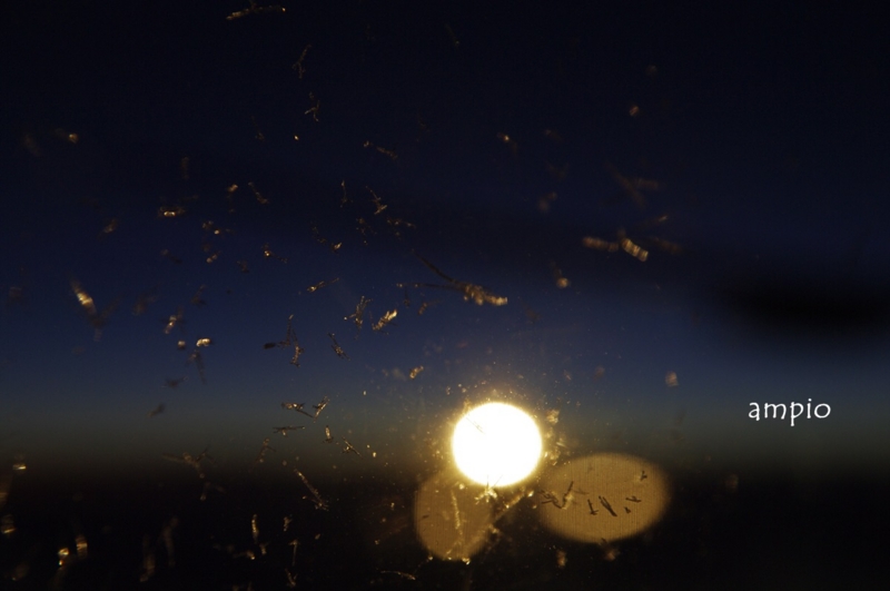 f:id:ampio:20140218114346j:plain