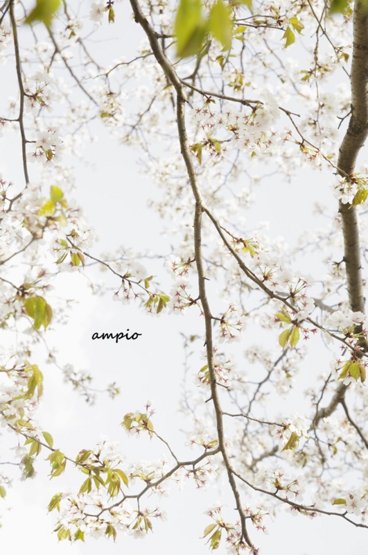 f:id:ampio:20140429192126j:plain