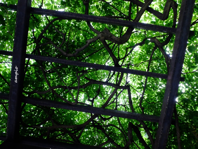 f:id:ampio:20150524194036j:plain