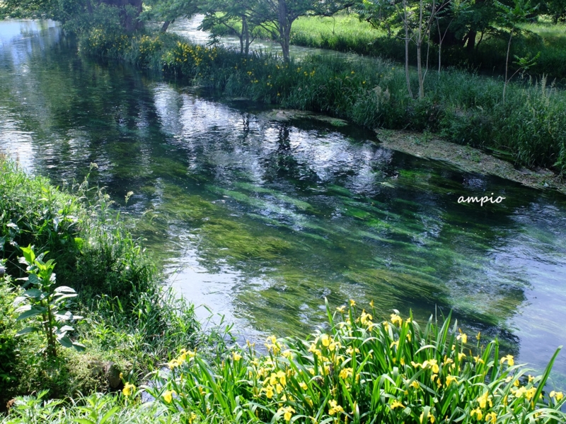 f:id:ampio:20150524194949j:plain