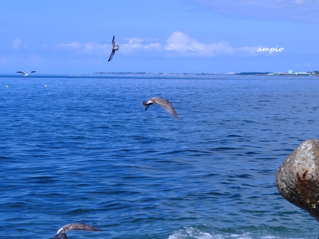 f:id:ampio:20150923133509j:plain