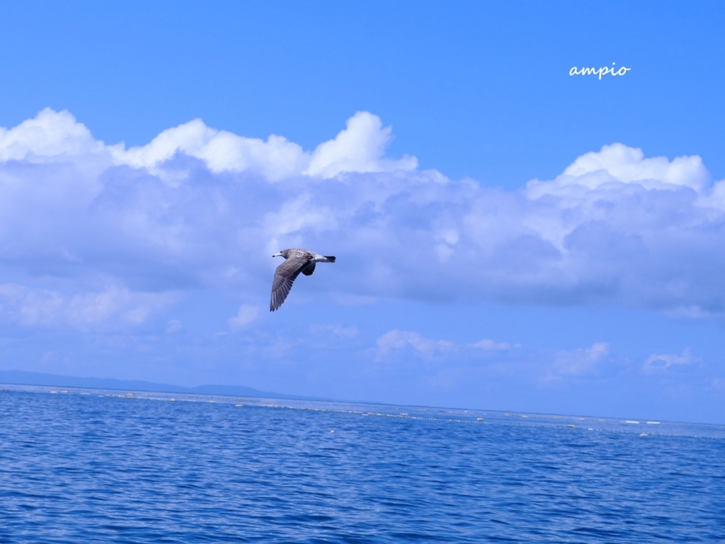 f:id:ampio:20150923133556j:plain