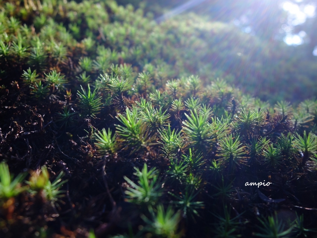 f:id:ampio:20150923133845j:plain