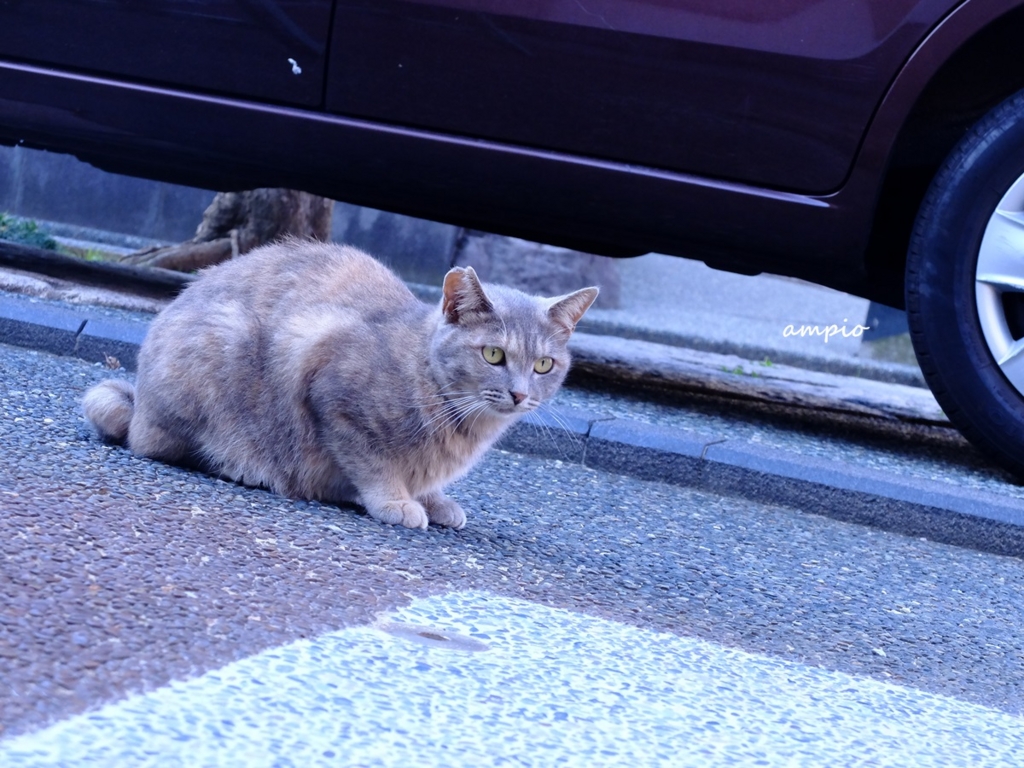 f:id:ampio:20150923134417j:plain