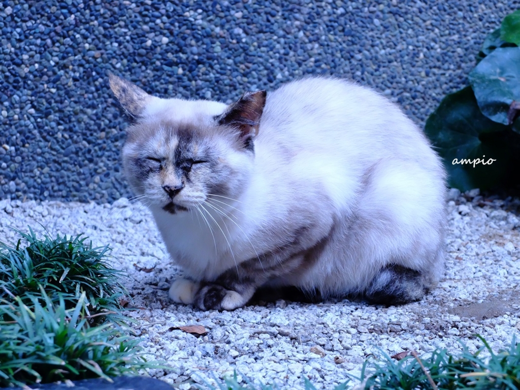 f:id:ampio:20150923134532j:plain