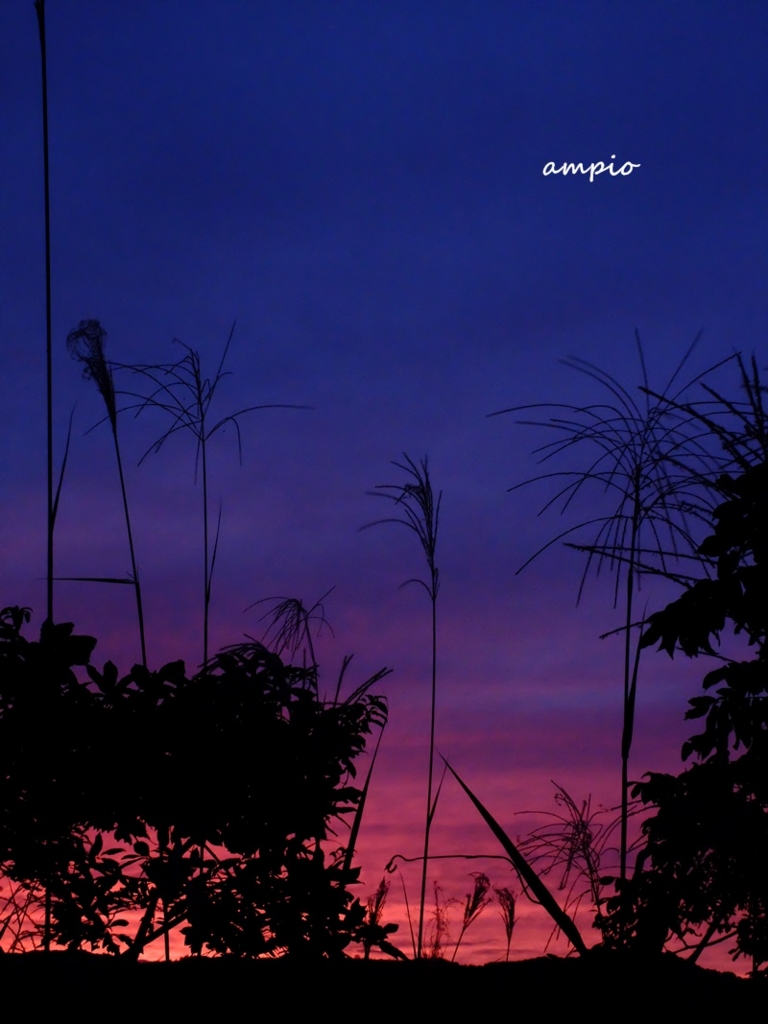 f:id:ampio:20151006193904j:plain