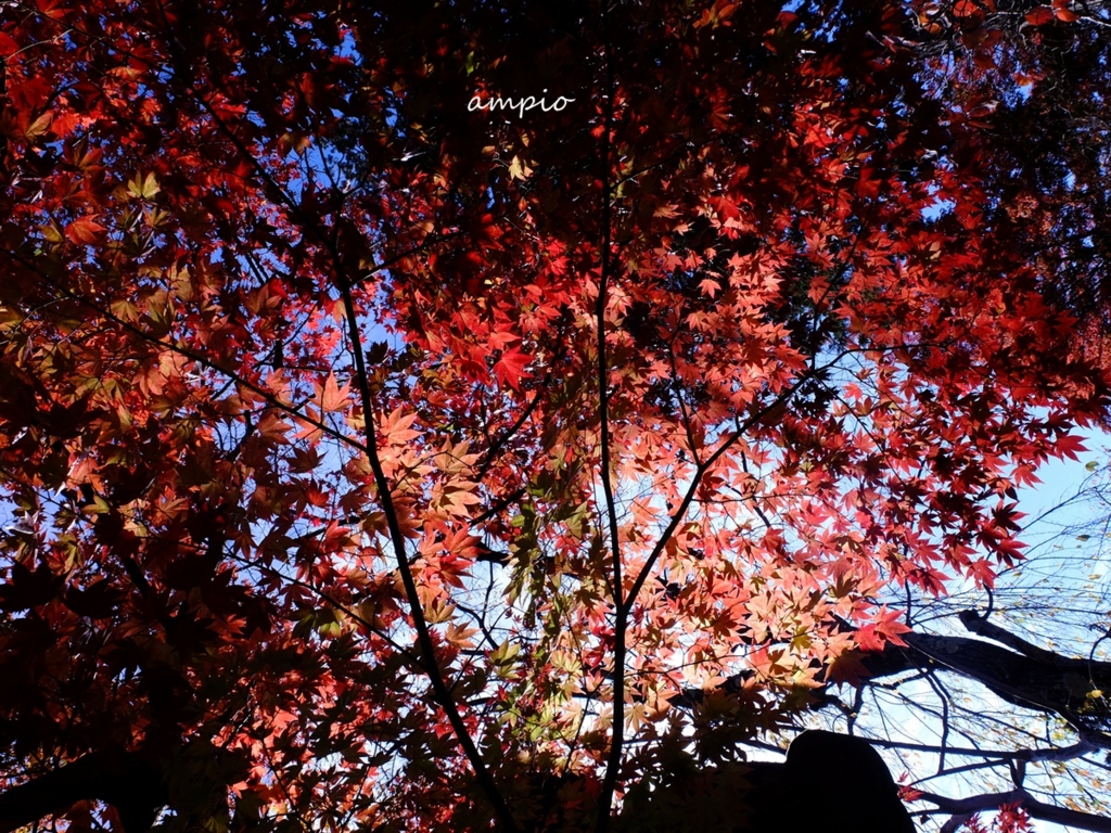 f:id:ampio:20151031131521j:plain