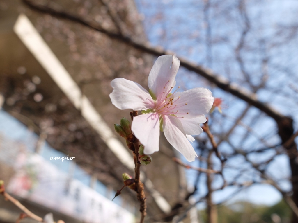 f:id:ampio:20160207203902j:plain