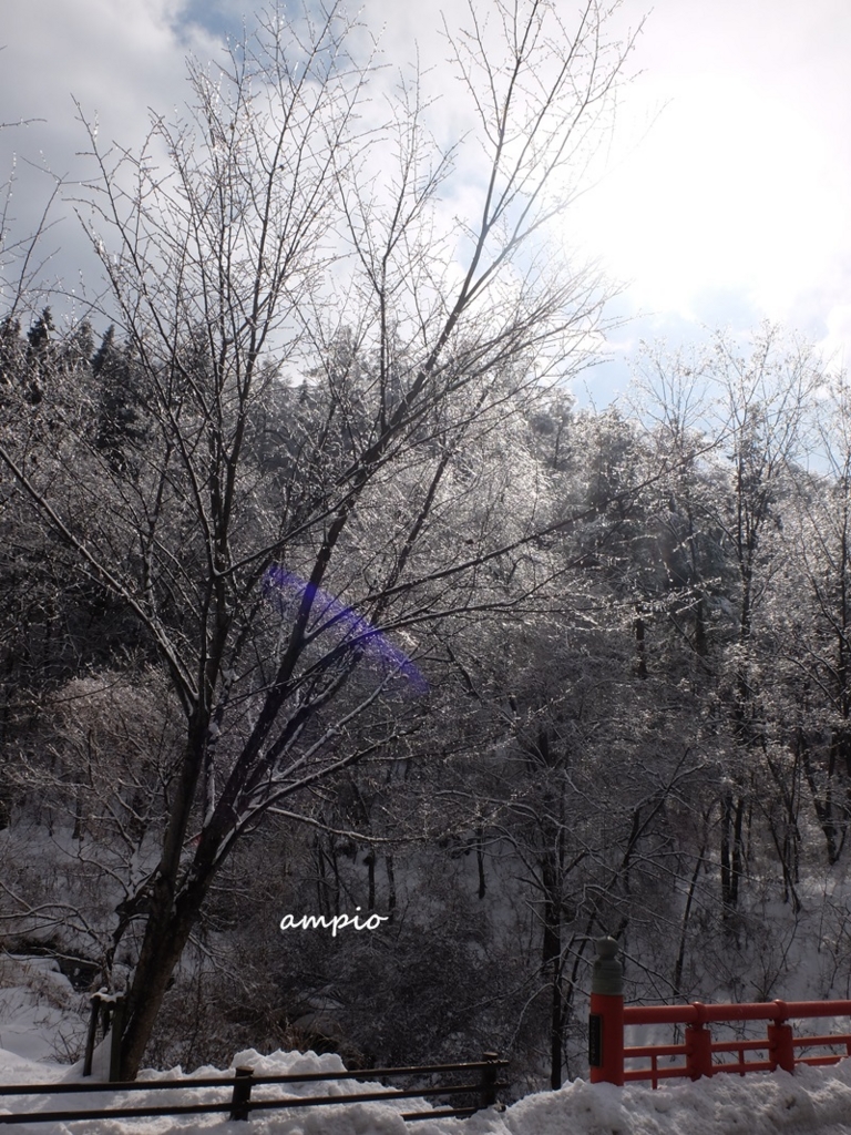 f:id:ampio:20160207204124j:plain