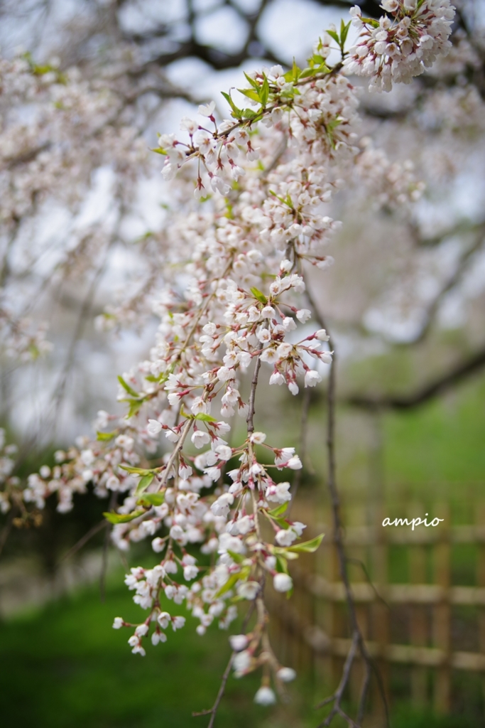 f:id:ampio:20170521144325j:plain