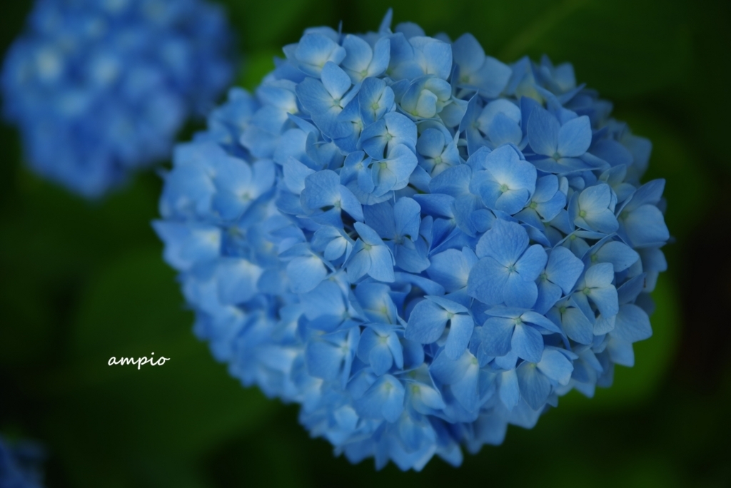 f:id:ampio:20170716173412j:plain