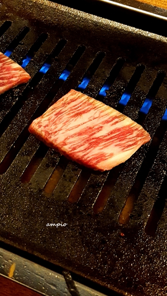 f:id:ampio:20170910184954j:plain